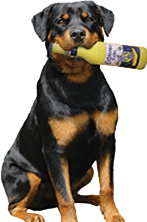 FETCH
