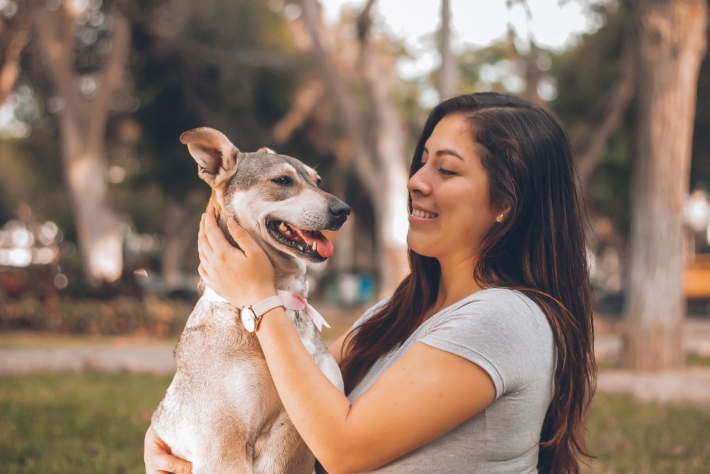 Trusted Dog Walker & Pet Sitters, In Your Brookhaven Home, Professional  Employees at Your Service